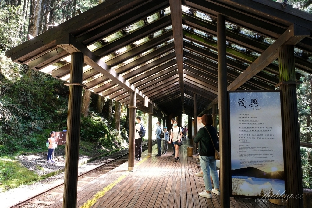宜蘭大同｜太平山國家森林遊樂區，超熱門太平山蹦蹦車，票價、時刻表、路線，前往茂興車站 @飛天璇的口袋