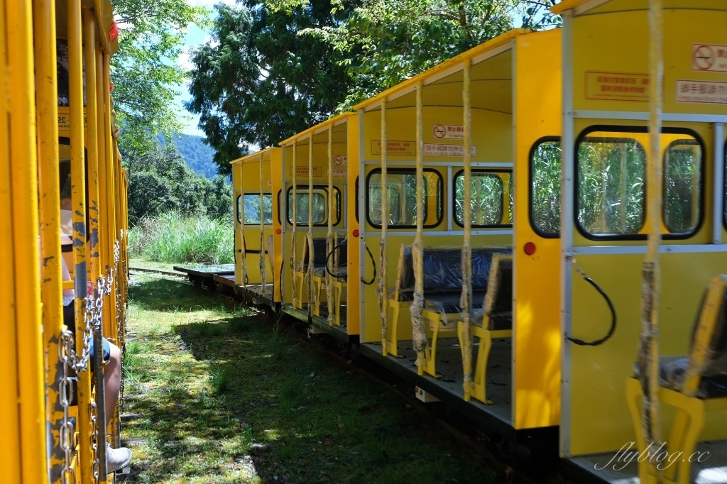 宜蘭大同｜太平山國家森林遊樂區，超熱門太平山蹦蹦車，票價、時刻表、路線，前往茂興車站 @飛天璇的口袋