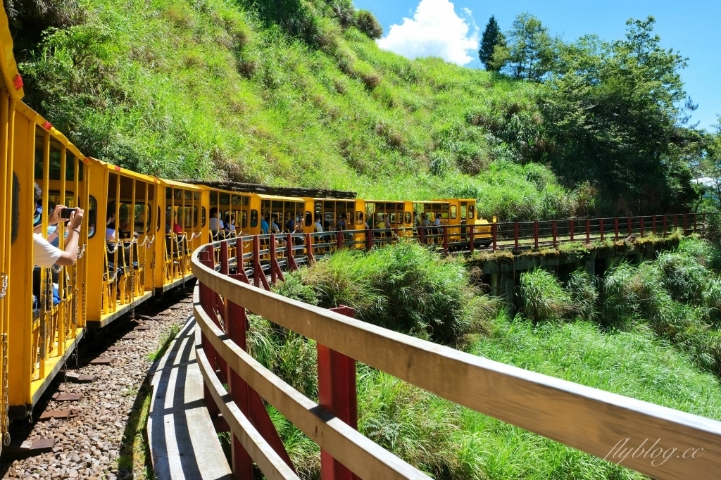 宜蘭大同｜太平山國家森林遊樂區，超熱門太平山蹦蹦車，票價、時刻表、路線，前往茂興車站 @飛天璇的口袋