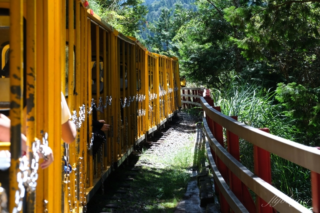 宜蘭大同｜太平山國家森林遊樂區，超熱門太平山蹦蹦車，票價、時刻表、路線，前往茂興車站 @飛天璇的口袋
