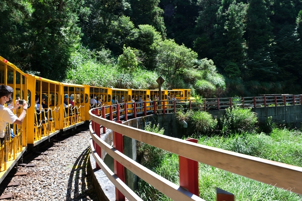 宜蘭大同｜太平山國家森林遊樂區，超熱門太平山蹦蹦車，票價、時刻表、路線，前往茂興車站 @飛天璇的口袋