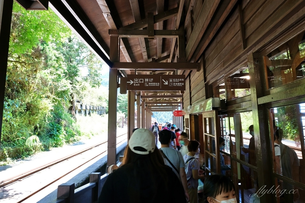 宜蘭大同｜太平山國家森林遊樂區，超熱門太平山蹦蹦車，票價、時刻表、路線，前往茂興車站 @飛天璇的口袋