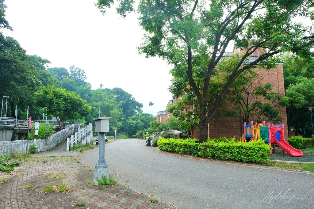 台中石岡｜電火圳生態步道，石岡半山腰的私房景點，沿著潺潺流水幽靜的林蔭步道 @飛天璇的口袋