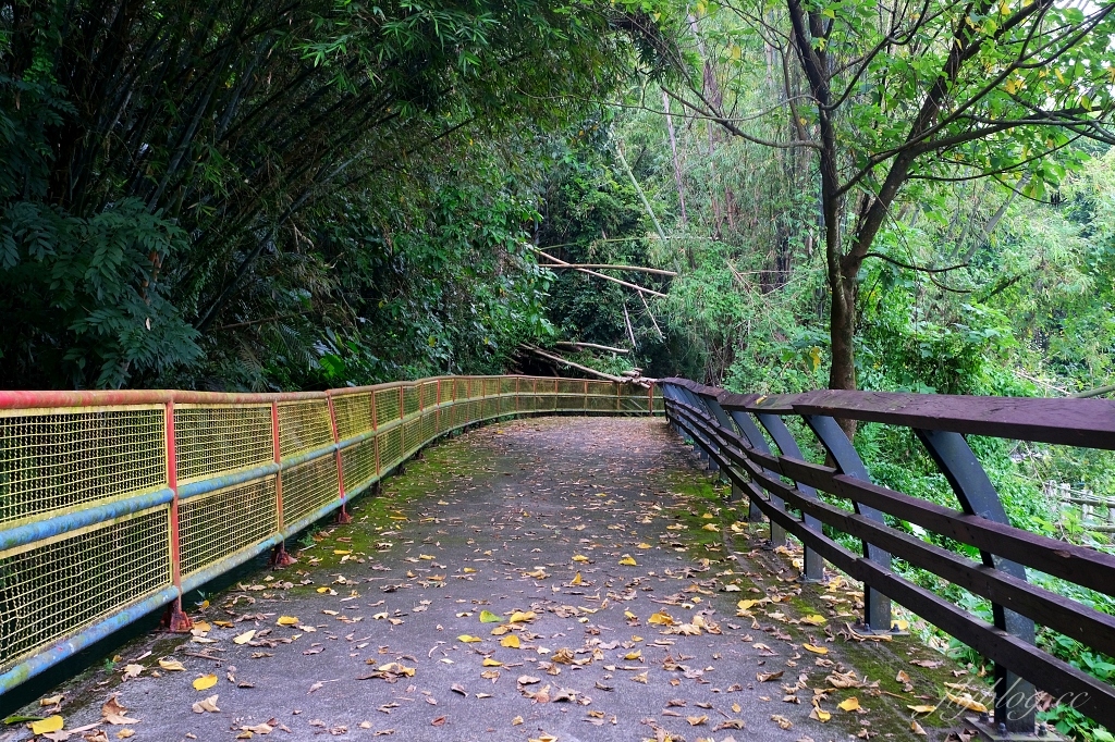 台中石岡｜電火圳生態步道，石岡半山腰的私房景點，沿著潺潺流水幽靜的林蔭步道 @飛天璇的口袋