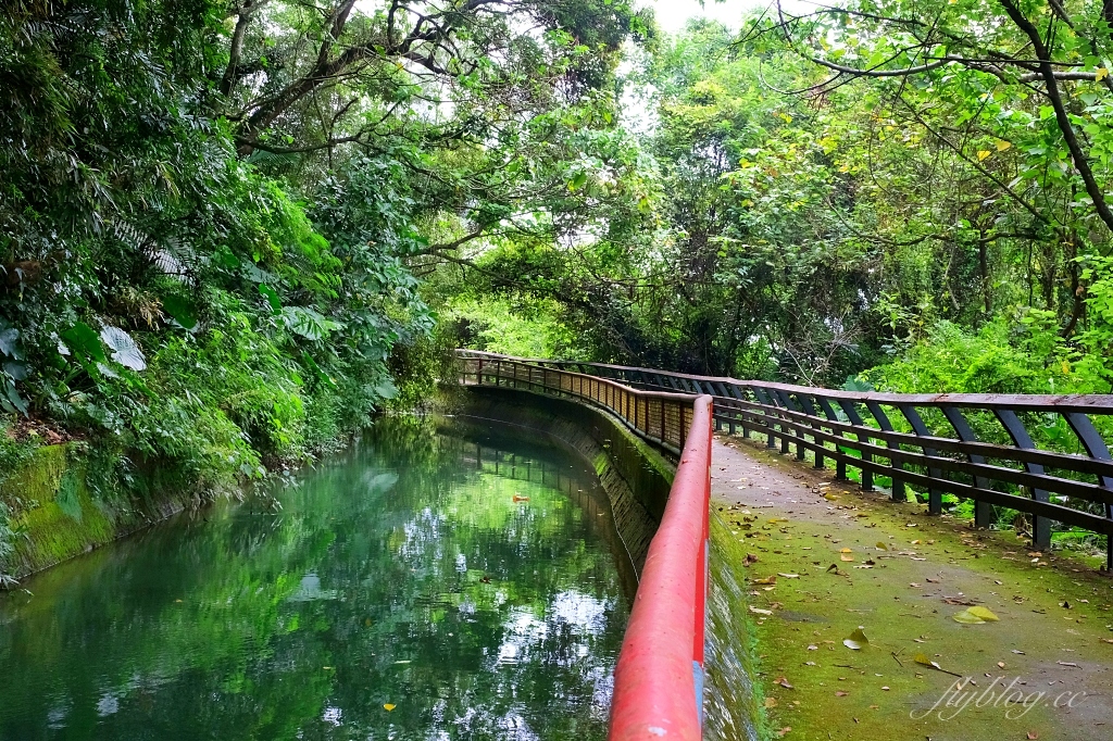台中石岡｜電火圳生態步道，石岡半山腰的私房景點，沿著潺潺流水幽靜的林蔭步道 @飛天璇的口袋