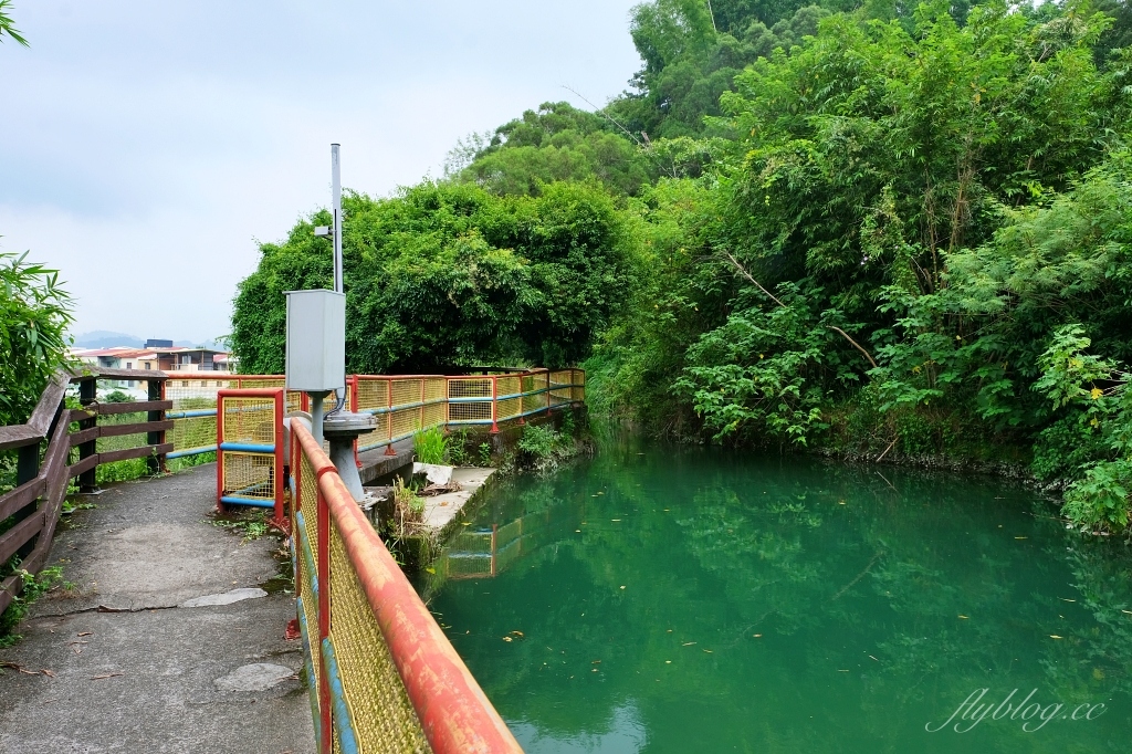 台中石岡｜電火圳生態步道，石岡半山腰的私房景點，沿著潺潺流水幽靜的林蔭步道 @飛天璇的口袋