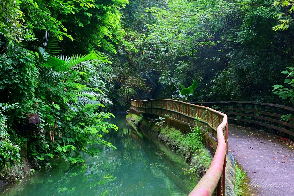 台中石岡｜電火圳生態步道，石岡半山腰的私房景點，沿著潺潺流水幽靜的林蔭步道 @飛天璇的口袋