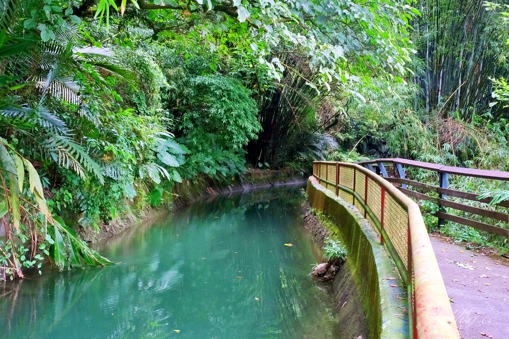 台中石岡｜電火圳生態步道，石岡半山腰的私房景點，沿著潺潺流水幽靜的林蔭步道 @飛天璇的口袋