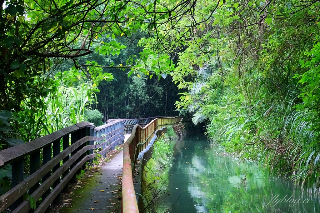 台中石岡｜電火圳生態步道，石岡半山腰的私房景點，沿著潺潺流水幽靜的林蔭步道 @飛天璇的口袋