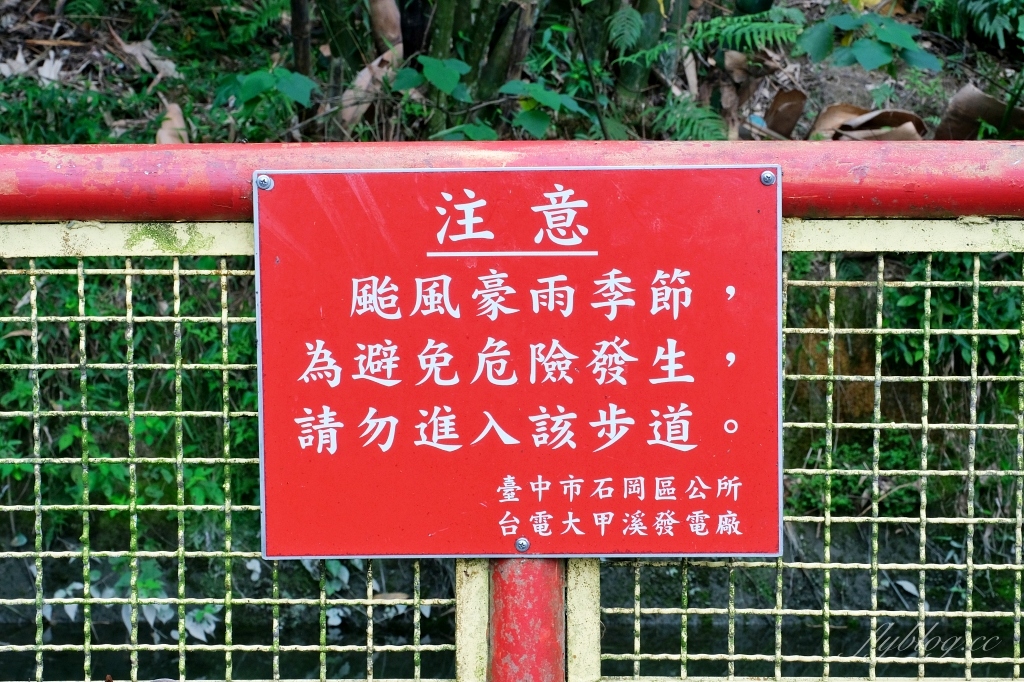 台中石岡｜電火圳生態步道，石岡半山腰的私房景點，沿著潺潺流水幽靜的林蔭步道 @飛天璇的口袋