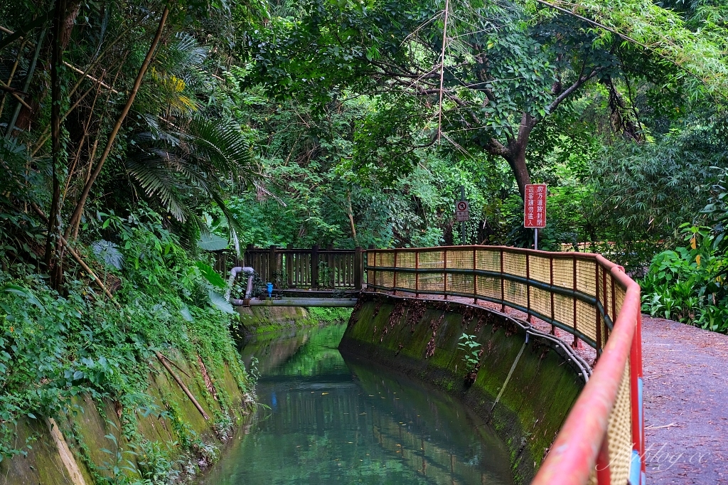 台中石岡｜電火圳生態步道，石岡半山腰的私房景點，沿著潺潺流水幽靜的林蔭步道 @飛天璇的口袋