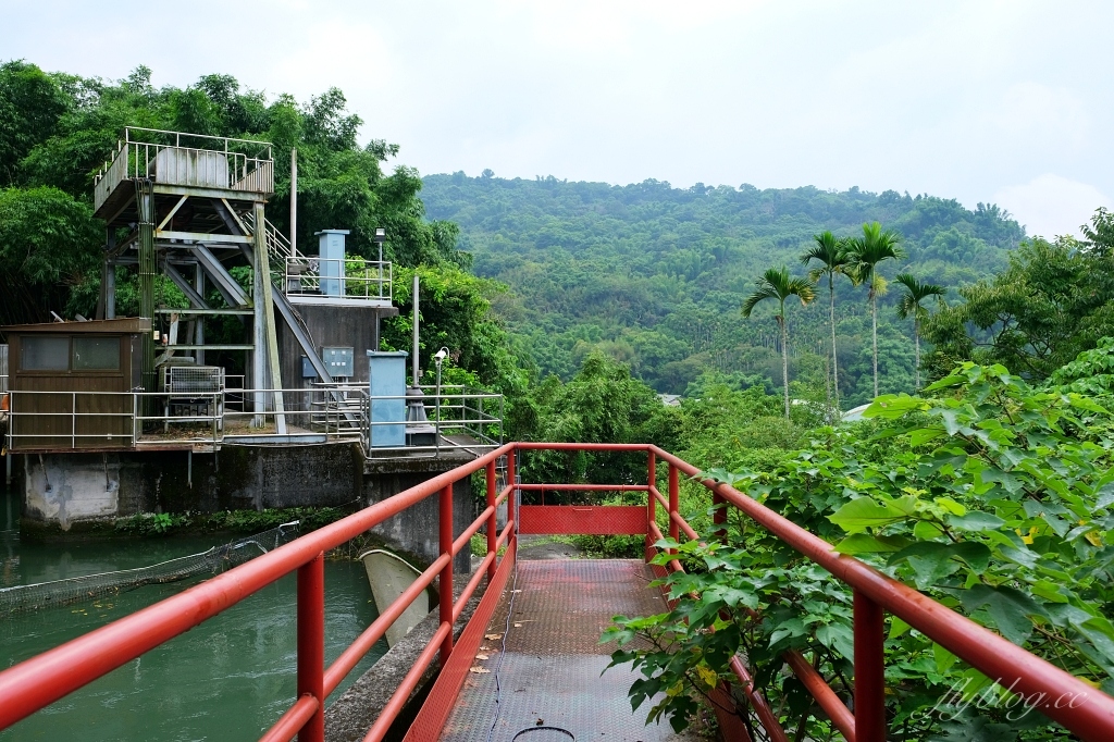 台中石岡｜電火圳生態步道，石岡半山腰的私房景點，沿著潺潺流水幽靜的林蔭步道 @飛天璇的口袋
