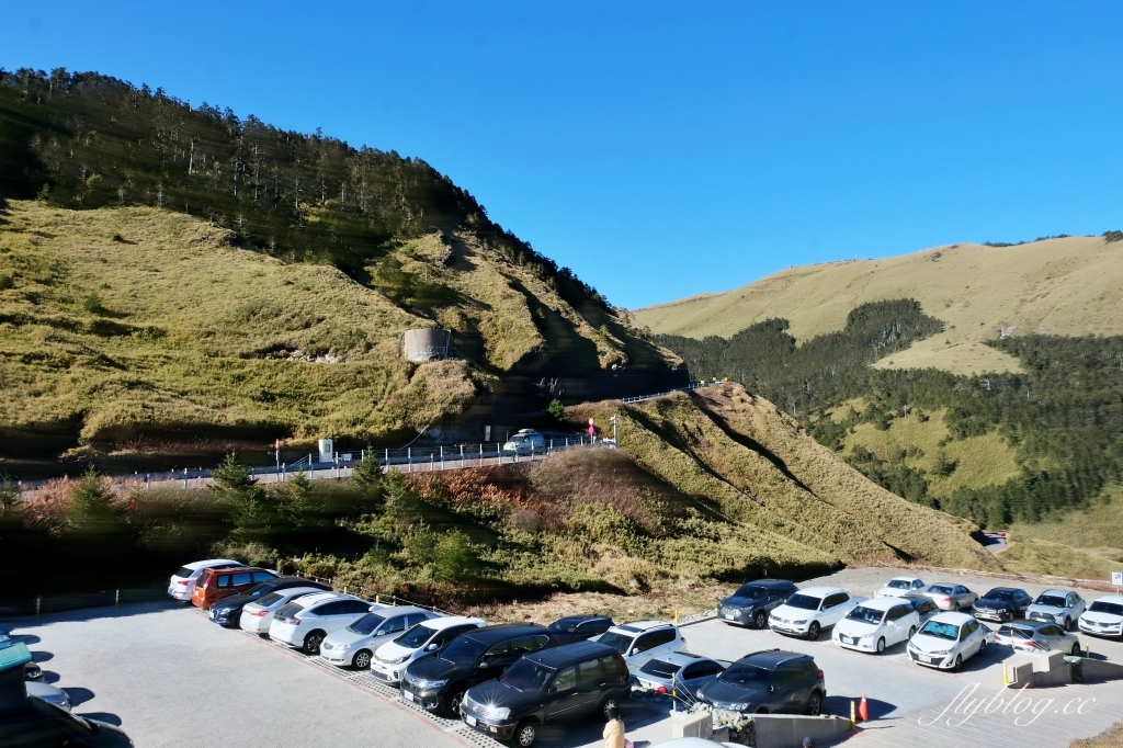 南投仁愛｜合歡山．台灣最美的公路，從武嶺到合歡山，飽覽日出、夕陽、雲海、星空 @飛天璇的口袋