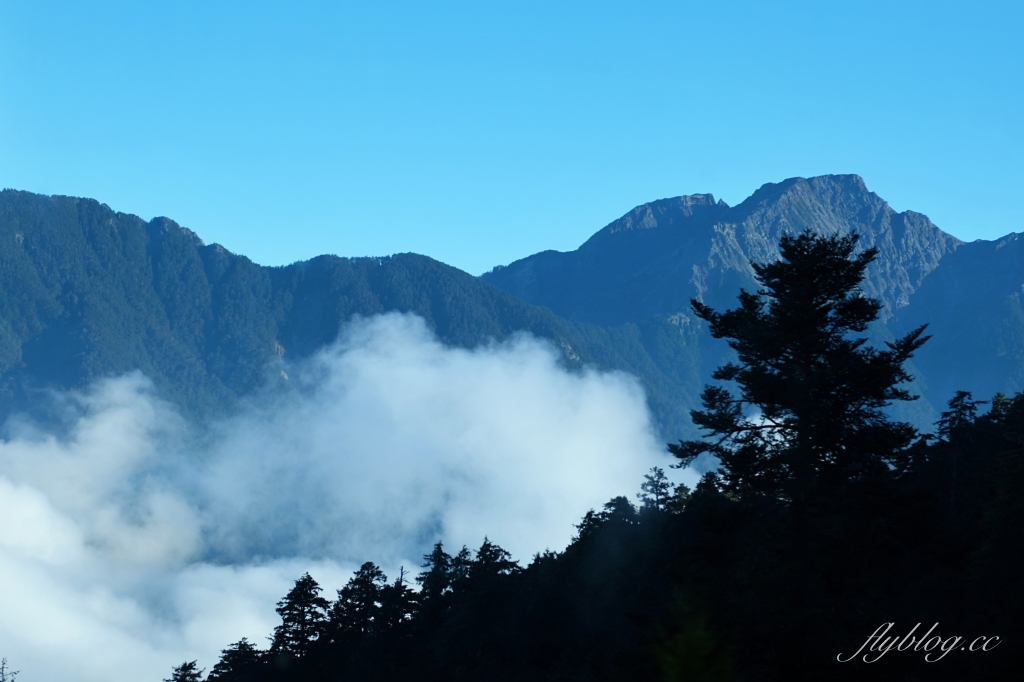 南投仁愛｜合歡山．台灣最美的公路，從武嶺到合歡山，飽覽日出、夕陽、雲海、星空 @飛天璇的口袋