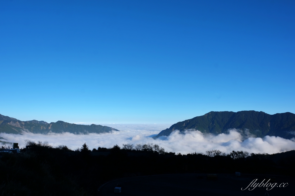 南投仁愛｜合歡山．台灣最美的公路，從武嶺到合歡山，飽覽日出、夕陽、雲海、星空 @飛天璇的口袋