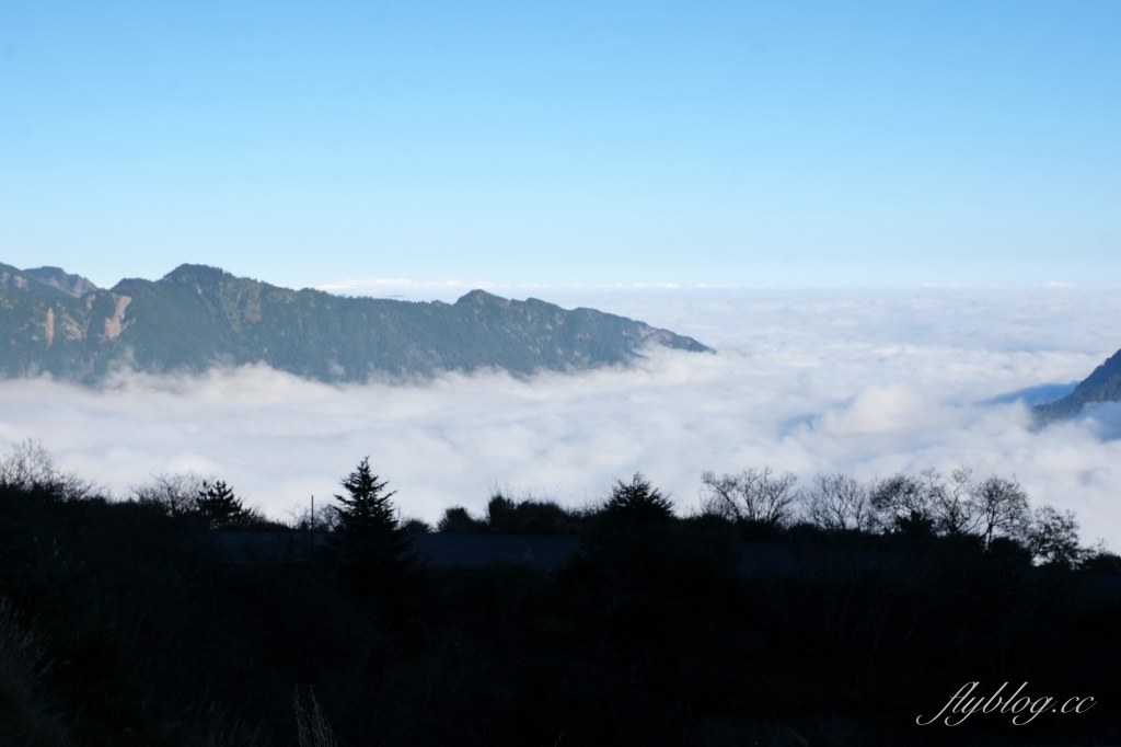 南投仁愛｜合歡山．台灣最美的公路，從武嶺到合歡山，飽覽日出、夕陽、雲海、星空 @飛天璇的口袋