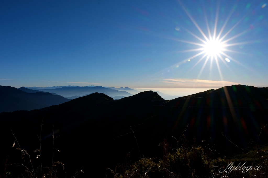 南投仁愛｜合歡山．台灣最美的公路，從武嶺到合歡山，飽覽日出、夕陽、雲海、星空 @飛天璇的口袋