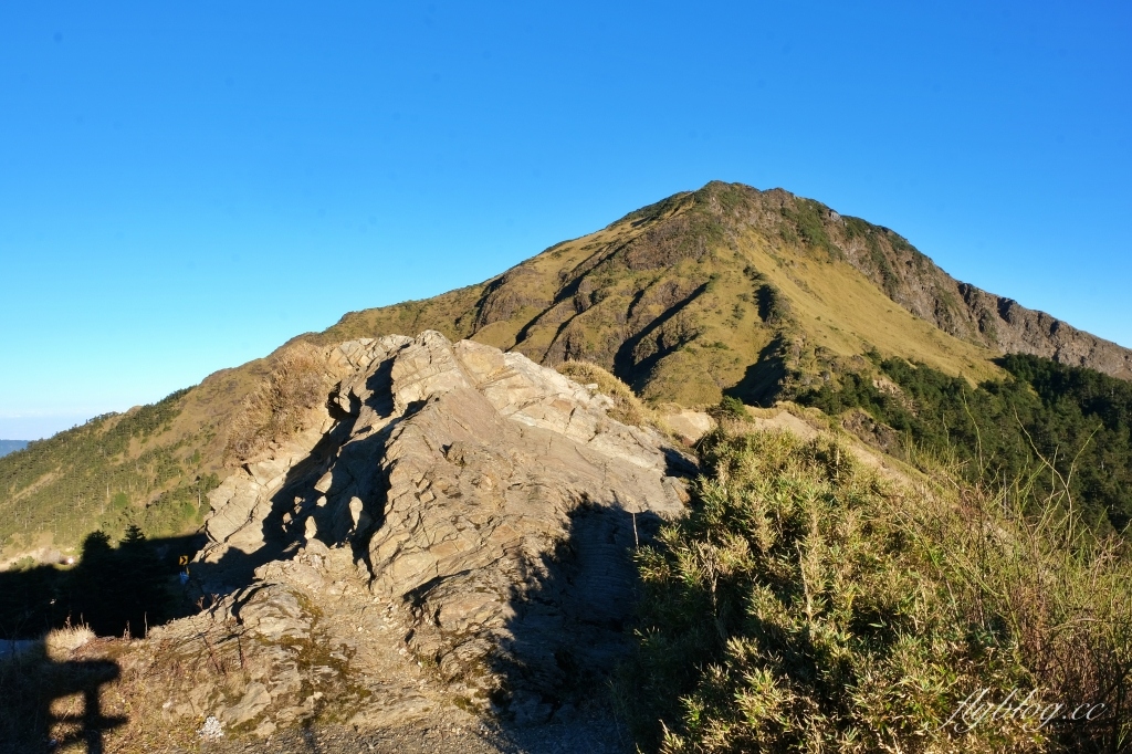 南投仁愛｜合歡山．台灣最美的公路，從武嶺到合歡山，飽覽日出、夕陽、雲海、星空 @飛天璇的口袋