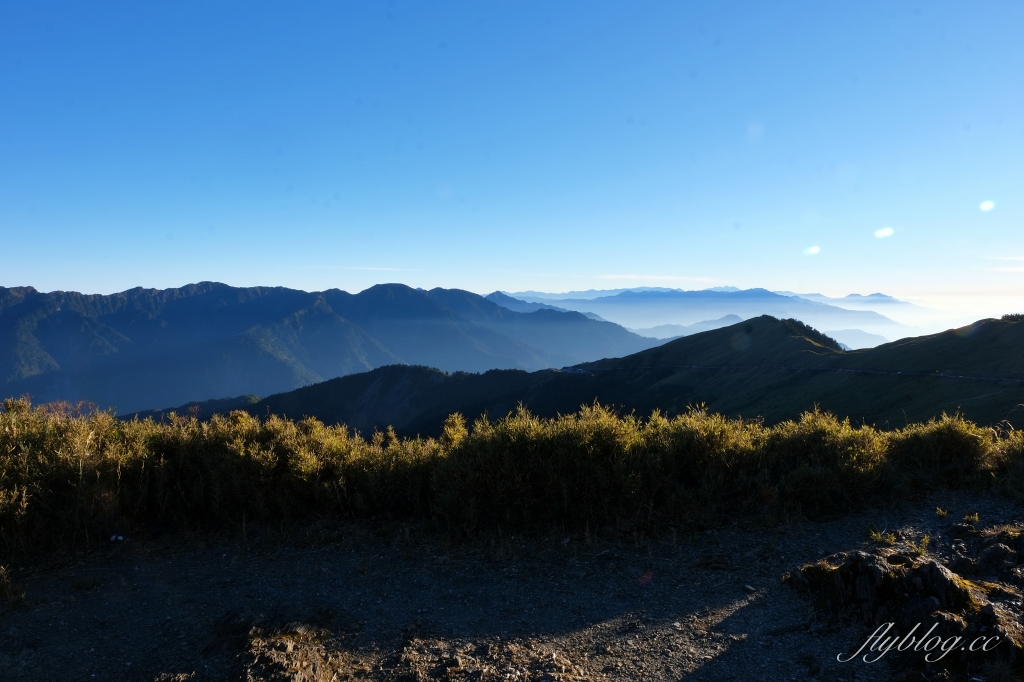 南投仁愛｜合歡山．台灣最美的公路，從武嶺到合歡山，飽覽日出、夕陽、雲海、星空 @飛天璇的口袋