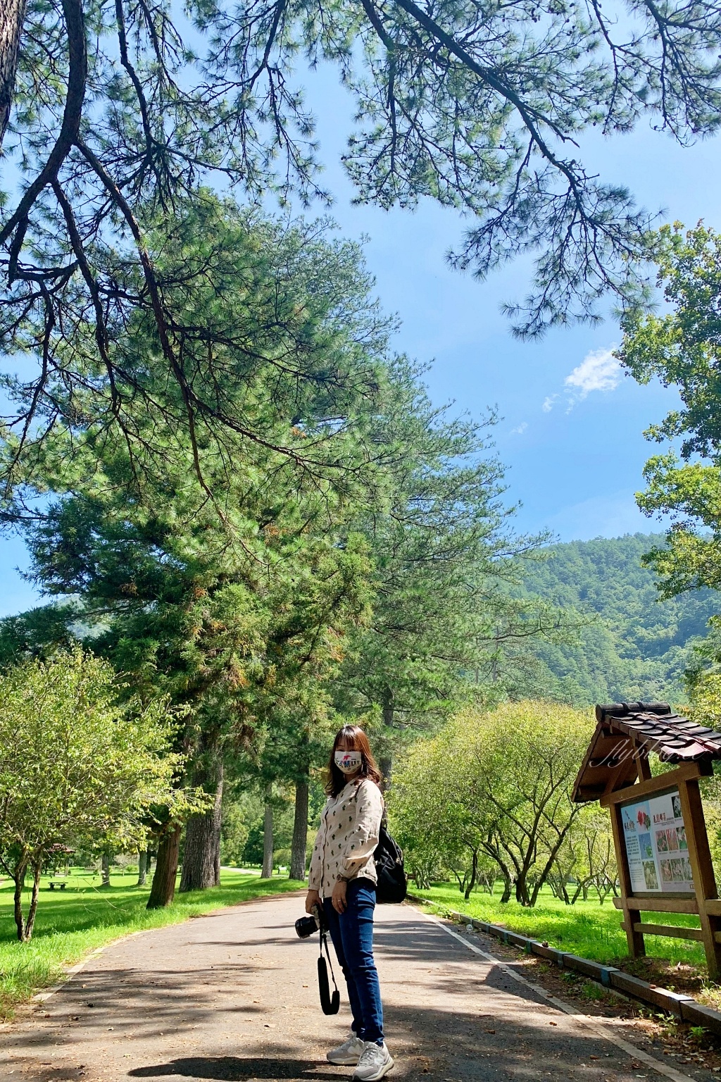 台中和平｜武陵福壽山2天1夜．經中橫到福壽山武陵採果樂，或是參加旅行社套裝行程 @飛天璇的口袋