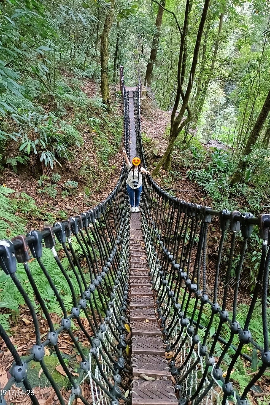 台中和平｜武陵福壽山2天1夜．經中橫到福壽山武陵採果樂，或是參加旅行社套裝行程 @飛天璇的口袋