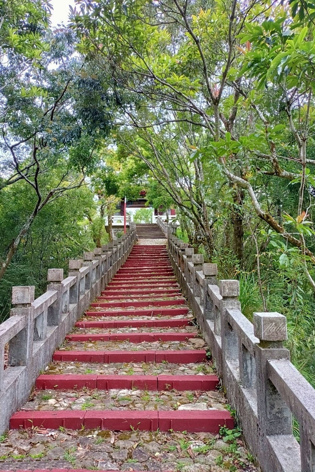 台中和平|希利克步道.梨山賓館後方的幽靜步道,全長600公尺兩座纜繩吊橋森林探索 @飛天璇的口袋 台中和平|希利克步道.梨山賓館後方的幽靜步道,全長600公尺兩座纜繩吊橋森林探索 @飛天璇的口袋