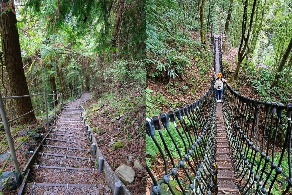 台中和平｜希利克步道．梨山賓館後方的幽靜步道，全長600公尺兩座纜繩吊橋森林探索 @飛天璇的口袋