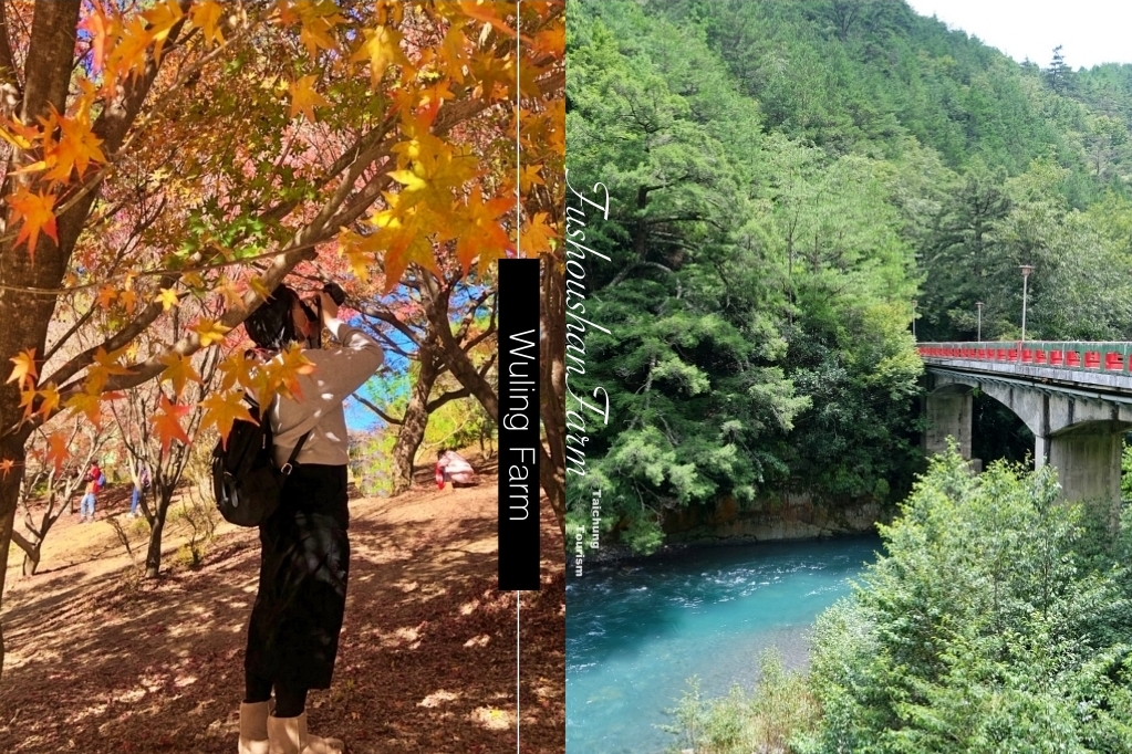 谷關溫泉公園｜谷關免費泡腳池，讓魚兒咬咬腳皮，再吃個鱘龍魚大餐 @飛天璇的口袋