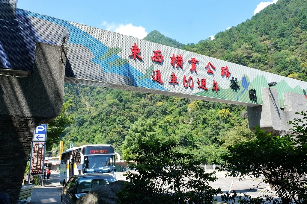 台中和平｜谷關一日遊路線．鱘龍魚料理、溫泉公園、谷關吊橋、明治老街，美食景點推薦 @飛天璇的口袋