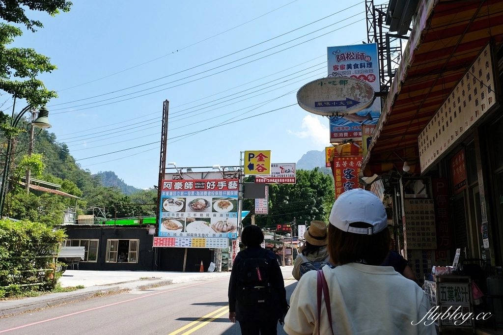 谷關溫泉公園｜谷關免費泡腳池，讓魚兒咬咬腳皮，再吃個鱘龍魚大餐 @飛天璇的口袋
