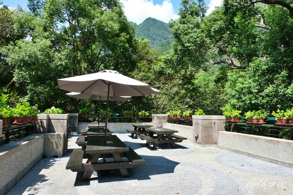 谷關溫泉公園｜谷關免費泡腳池，讓魚兒咬咬腳皮，再吃個鱘龍魚大餐 @飛天璇的口袋