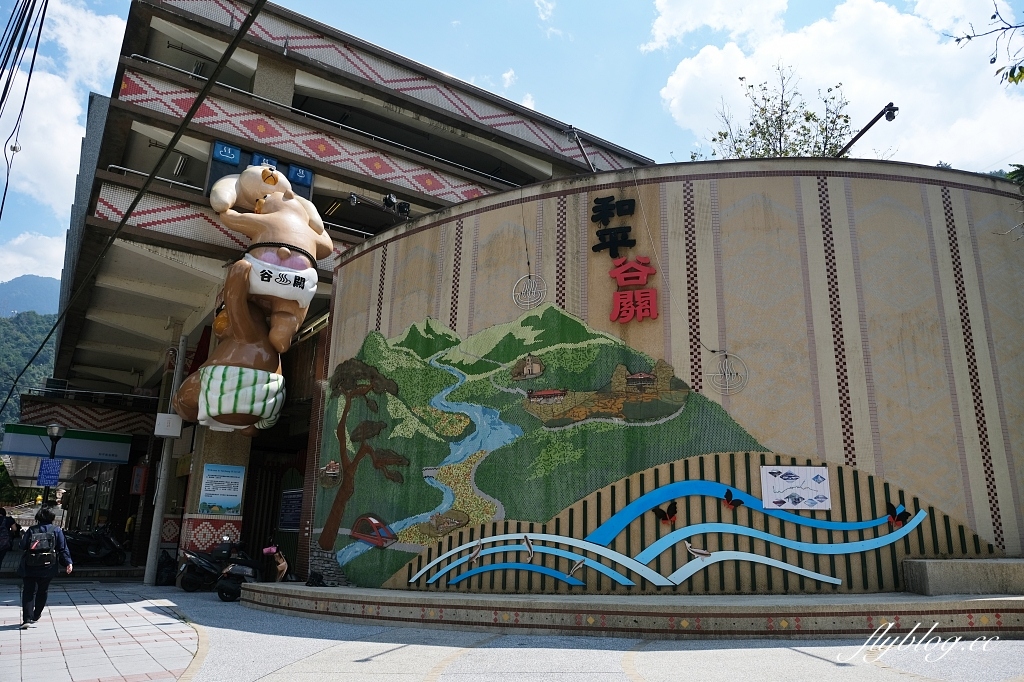 台中和平｜武陵福壽山2天1夜．經中橫到福壽山武陵採果樂，或是參加旅行社套裝行程 @飛天璇的口袋