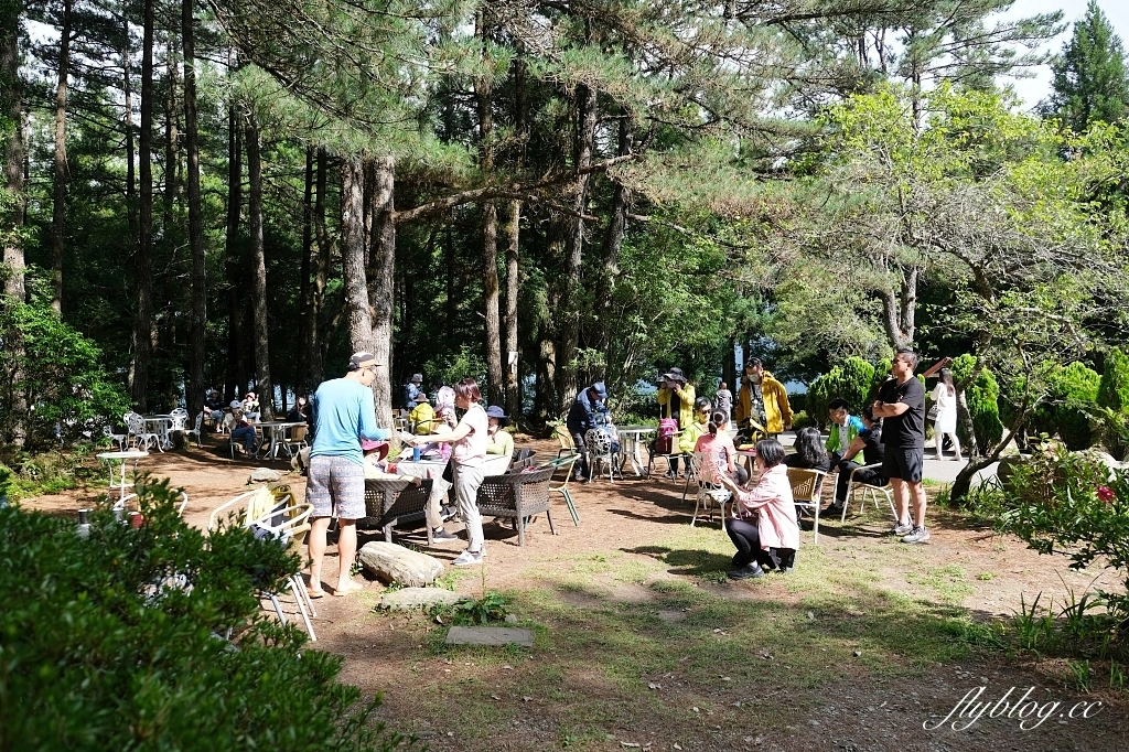 台中和平｜武陵福壽山2天1夜．經中橫到福壽山武陵採果樂，或是參加旅行社套裝行程 @飛天璇的口袋