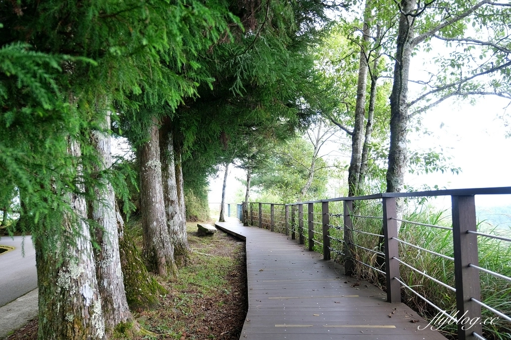 台中和平｜武陵福壽山2天1夜．經中橫到福壽山武陵採果樂，或是參加旅行社套裝行程 @飛天璇的口袋