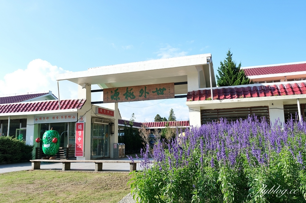 台中和平｜武陵福壽山2天1夜．經中橫到福壽山武陵採果樂，或是參加旅行社套裝行程 @飛天璇的口袋