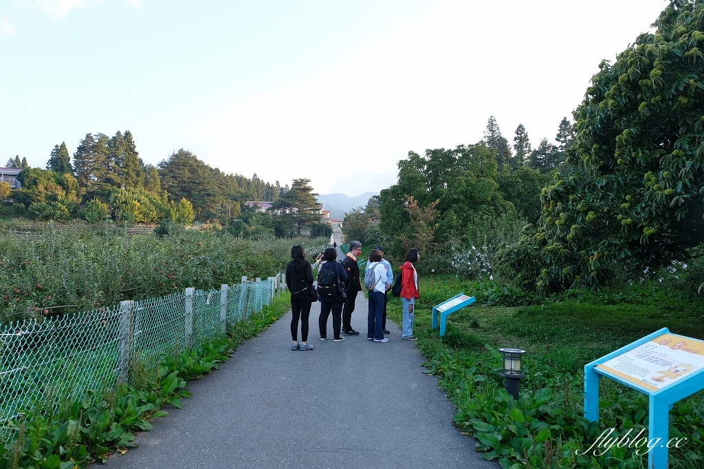 台中和平｜武陵福壽山2天1夜．經中橫到福壽山武陵採果樂，或是參加旅行社套裝行程 @飛天璇的口袋