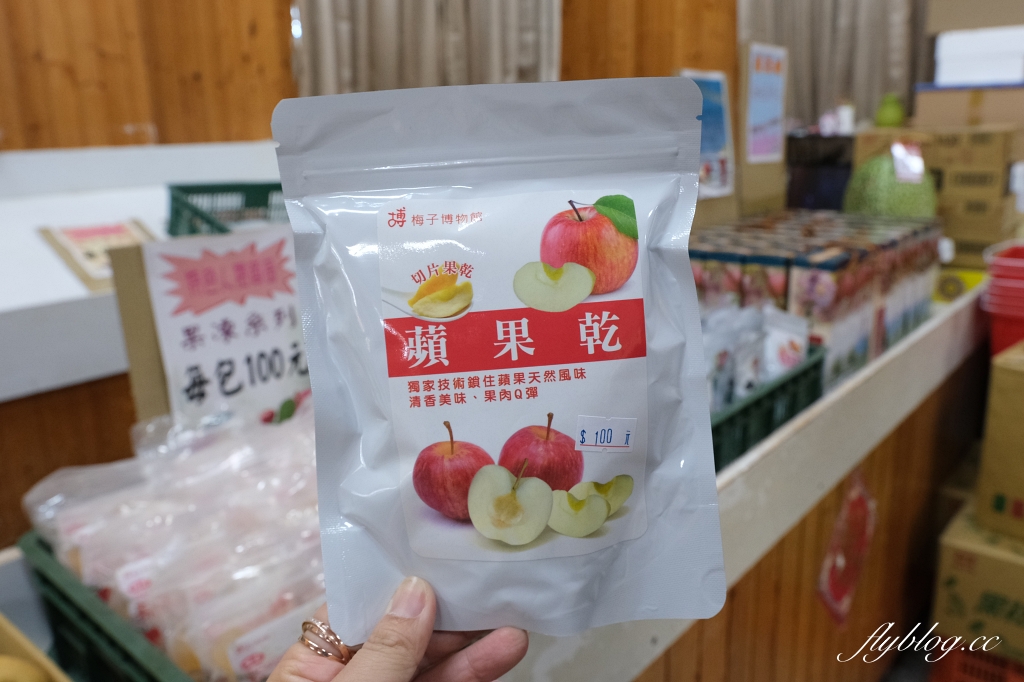 台中和平｜武陵福壽山2天1夜．經中橫到福壽山武陵採果樂，或是參加旅行社套裝行程 @飛天璇的口袋