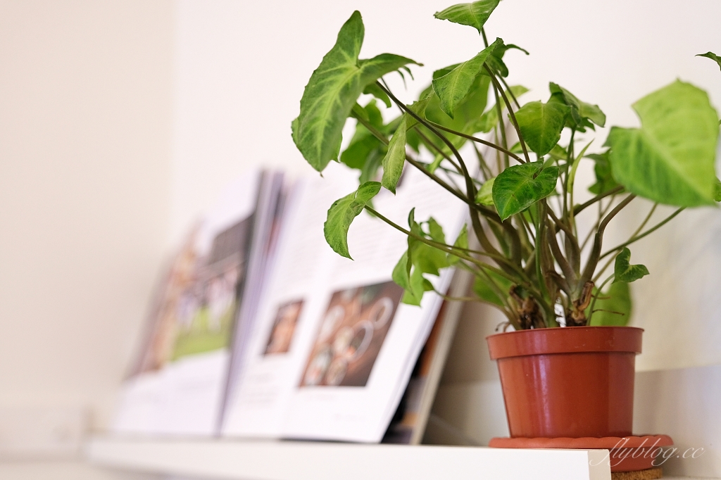 桃園中壢|姐婆JIAPO.桃園高鐵附近美食餐廳,青埔客家風文青料理,軟Q好吃的客家麻糬 @飛天璇的口袋 桃園中壢|姐婆JIAPO.桃園高鐵附近美食餐廳,青埔客家風文青料理,軟Q好吃的客家麻糬 @飛天璇的口袋