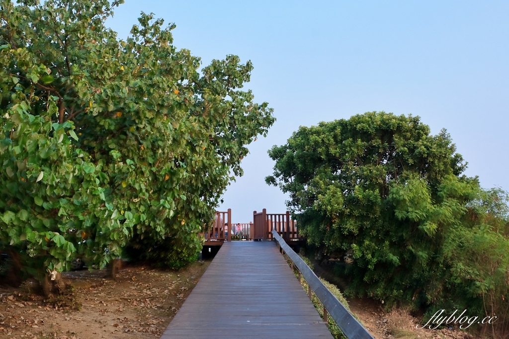 金門金寧｜慈湖落日觀海平台，金門著名的觀賞夕陽的景點，彩虹步道散步到湖下海堤 @飛天璇的口袋