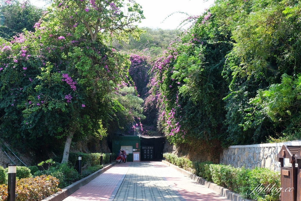 金門3天2夜行程｜金門自由行．3天2夜行程規劃，交通、景點、美食、住宿、伴手禮 @飛天璇的口袋