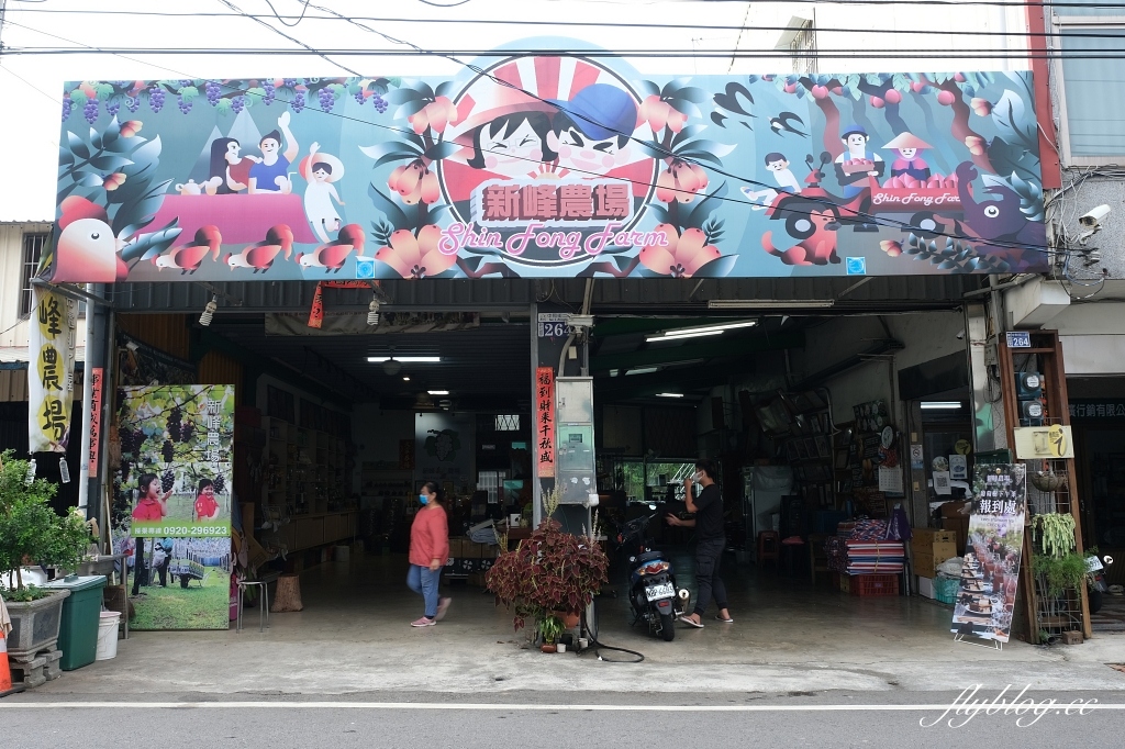 台中新社｜新峰農場．葡萄園的浪漫下午茶，採果體驗和戶外教室 @飛天璇的口袋