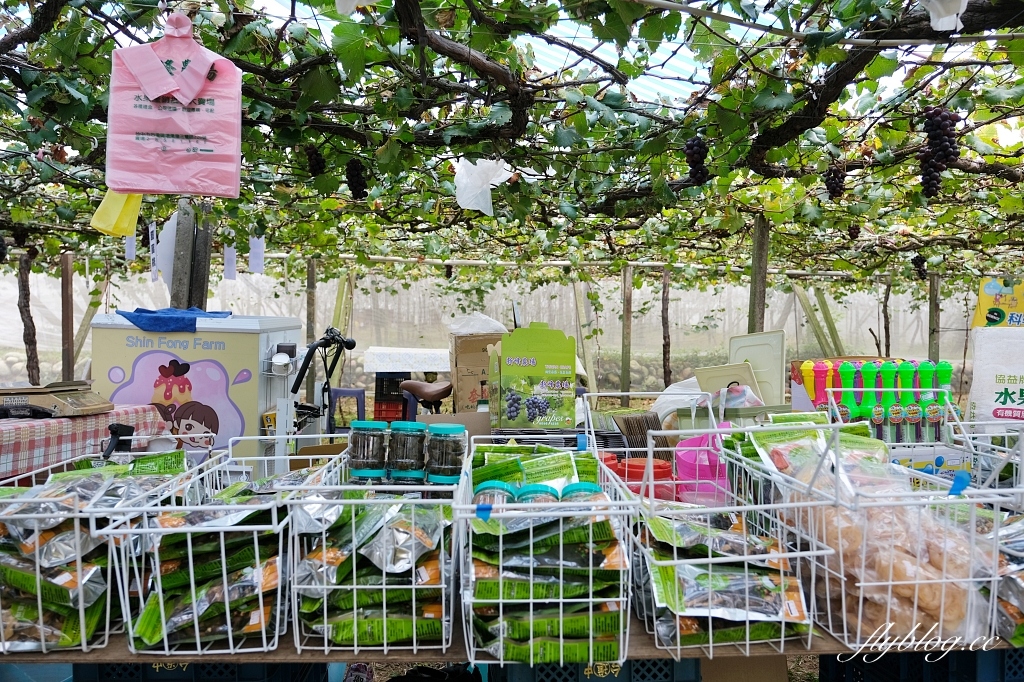 台中新社｜新峰農場．葡萄園的浪漫下午茶，採果體驗和戶外教室 @飛天璇的口袋