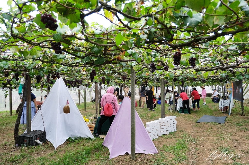 台中新社｜新峰農場．葡萄園的浪漫下午茶，採果體驗和戶外教室 @飛天璇的口袋