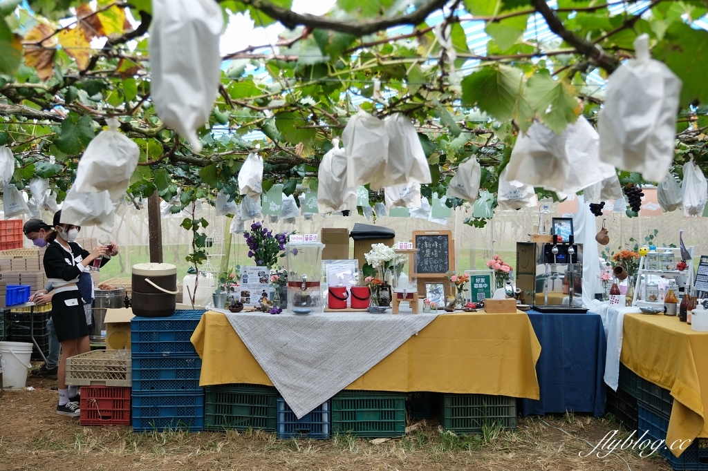 台中新社｜新峰農場．葡萄園的浪漫下午茶，採果體驗和戶外教室 @飛天璇的口袋