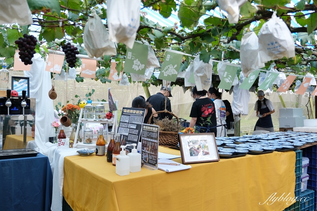 台中新社｜新峰農場．葡萄園的浪漫下午茶，採果體驗和戶外教室 @飛天璇的口袋