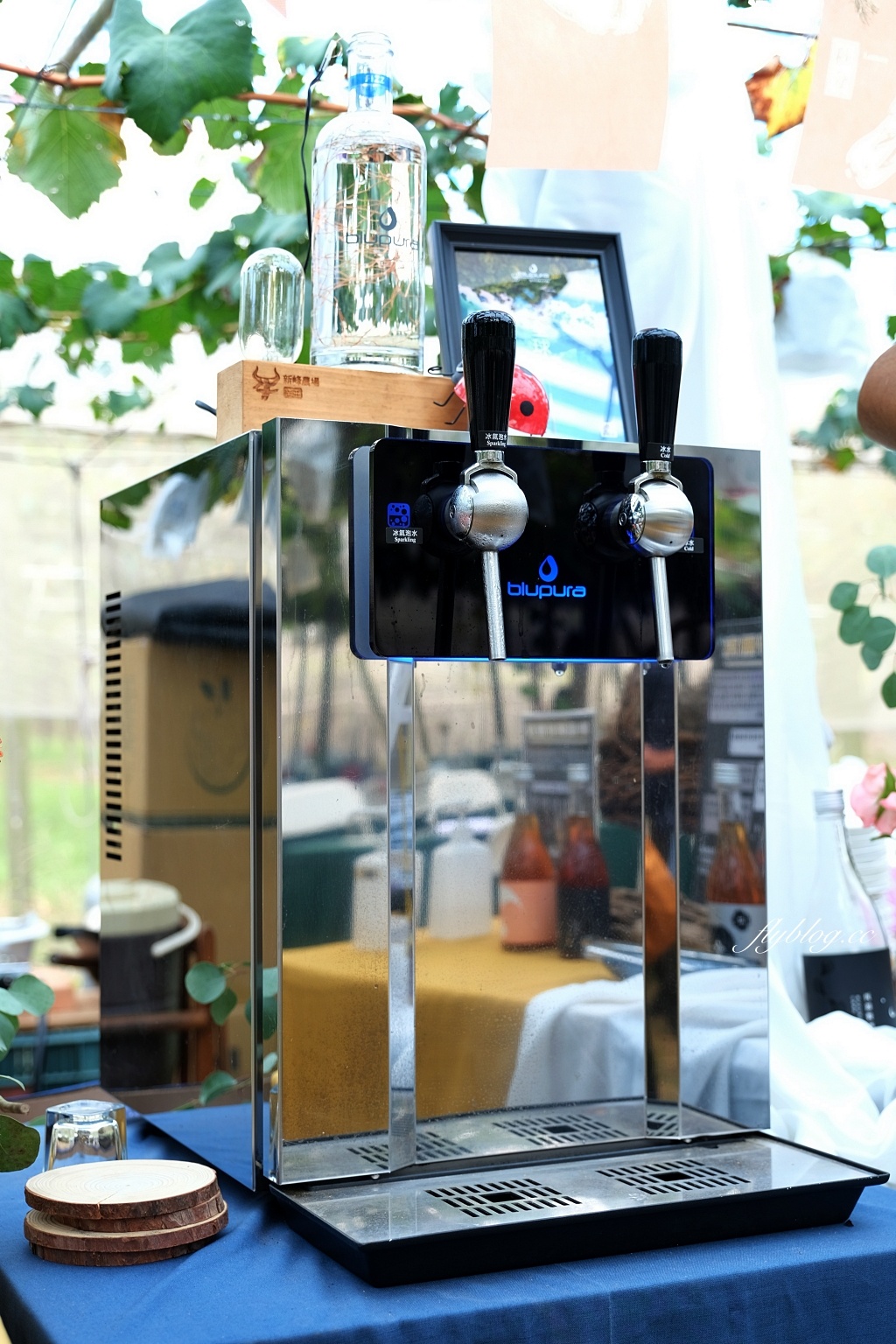 台中新社｜新峰農場．葡萄園的浪漫下午茶，採果體驗和戶外教室 @飛天璇的口袋