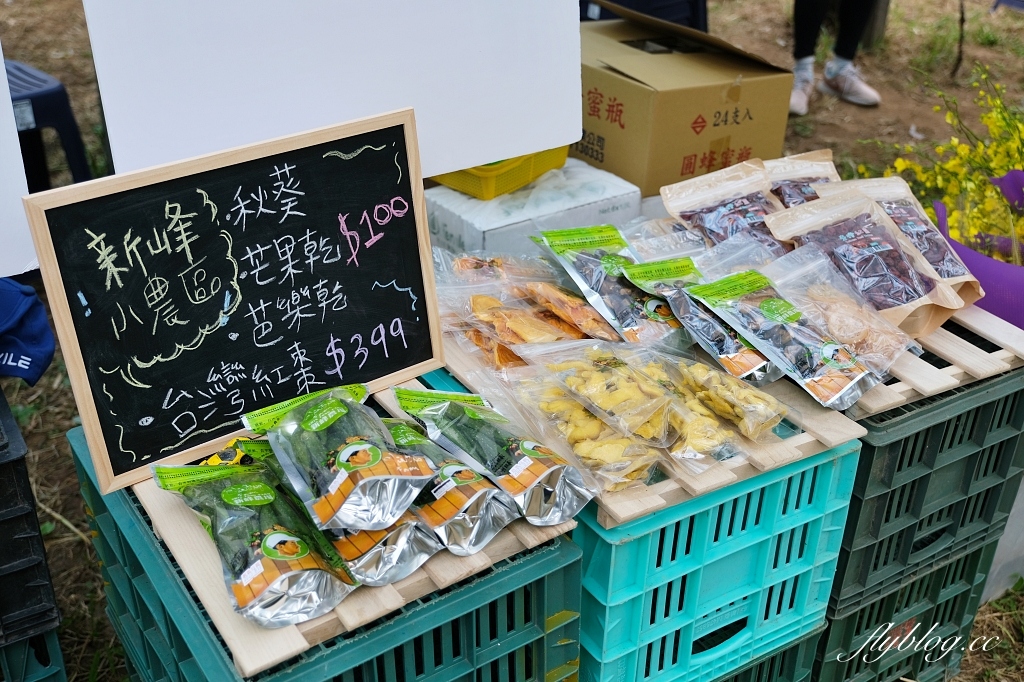 台中新社｜新峰農場．葡萄園的浪漫下午茶，採果體驗和戶外教室 @飛天璇的口袋