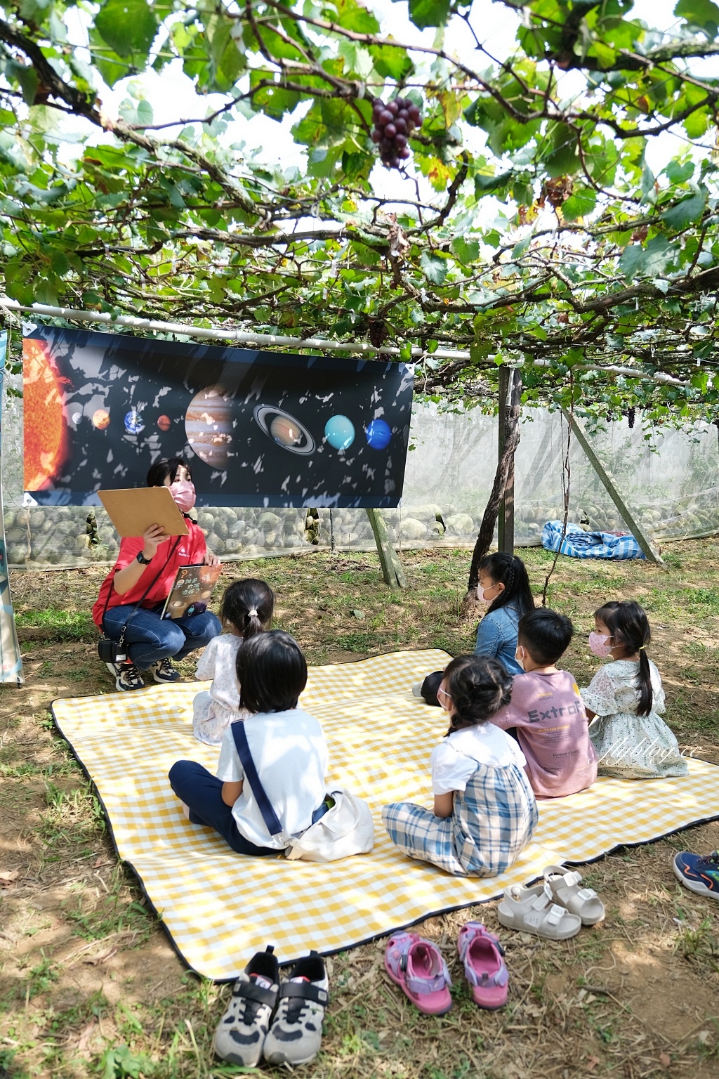台中新社｜新峰農場．葡萄園的浪漫下午茶，採果體驗和戶外教室 @飛天璇的口袋