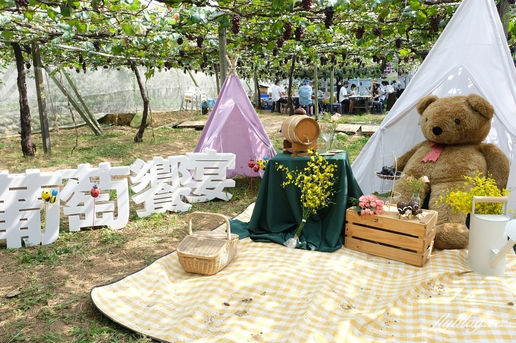 台中新社｜新峰農場．葡萄園的浪漫下午茶，採果體驗和戶外教室 @飛天璇的口袋