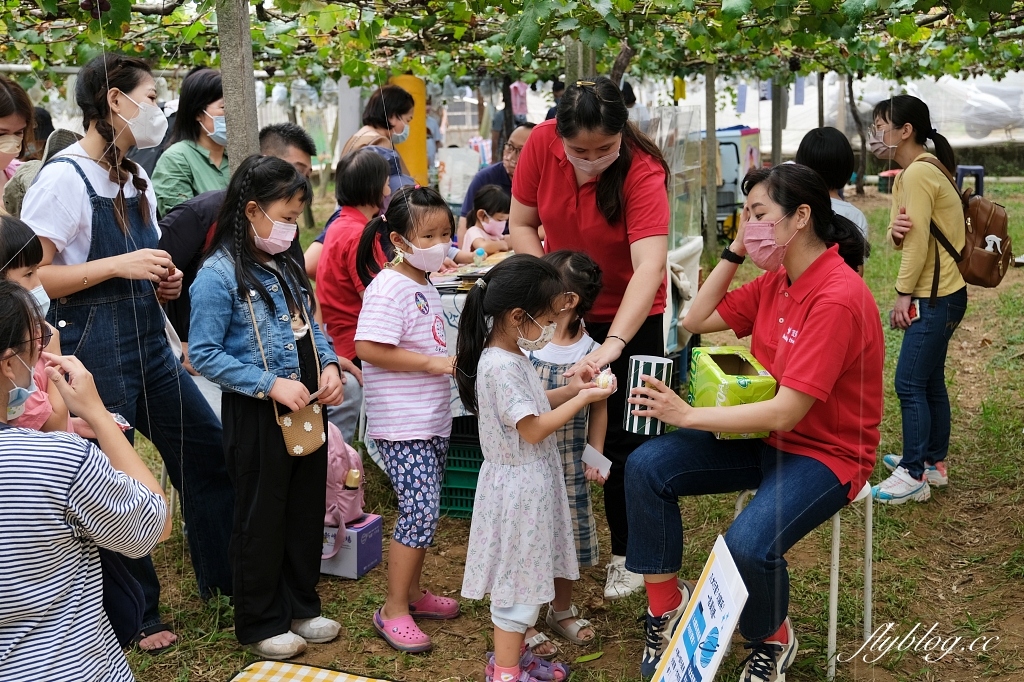 台中新社｜新峰農場．葡萄園的浪漫下午茶，採果體驗和戶外教室 @飛天璇的口袋